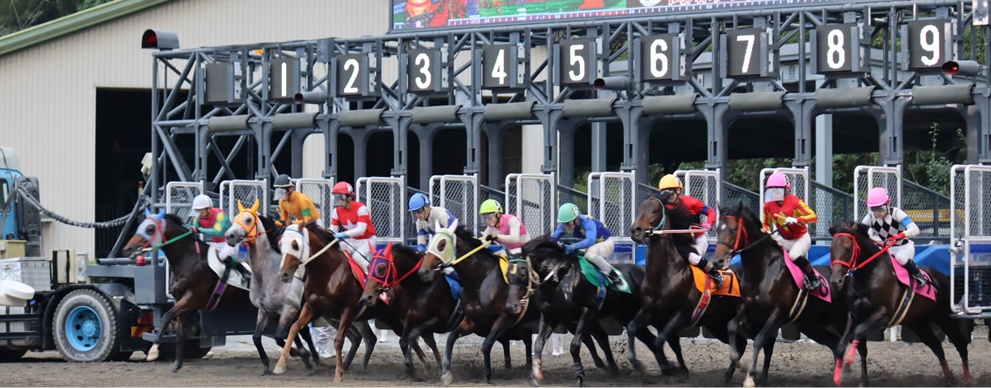 知競馬と新たな一歩を