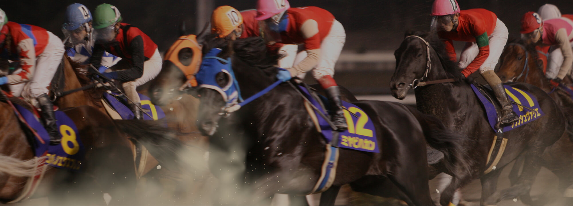 競走馬の息づく迫力を間近で感じる仕事